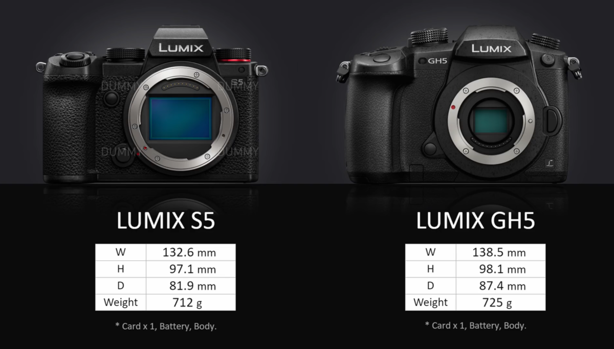 Panasonic Lumix S1 and S1H V-Log Panasonic LUMIX DC-S1( V-log 