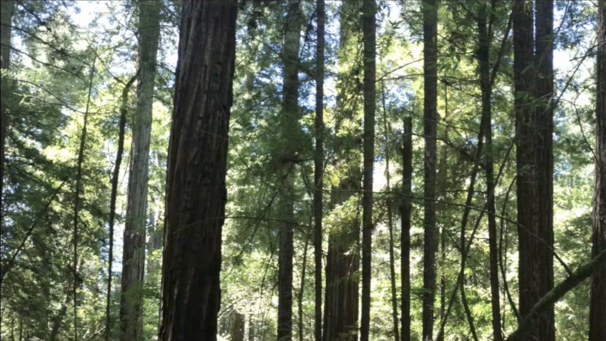 f:id:sulgi0917:20210416145942p:plain