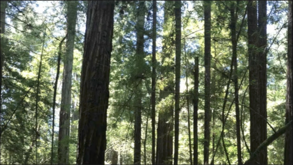 f:id:sulgi0917:20210416151601p:plain