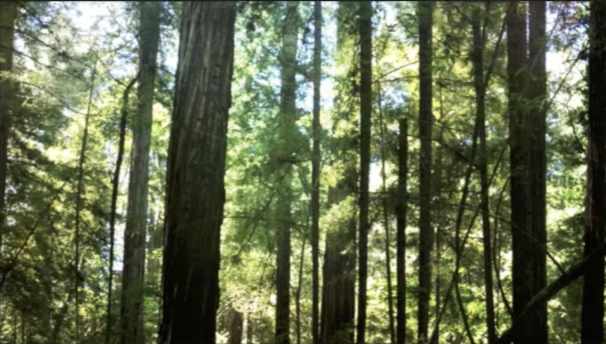 f:id:sulgi0917:20210416151644p:plain