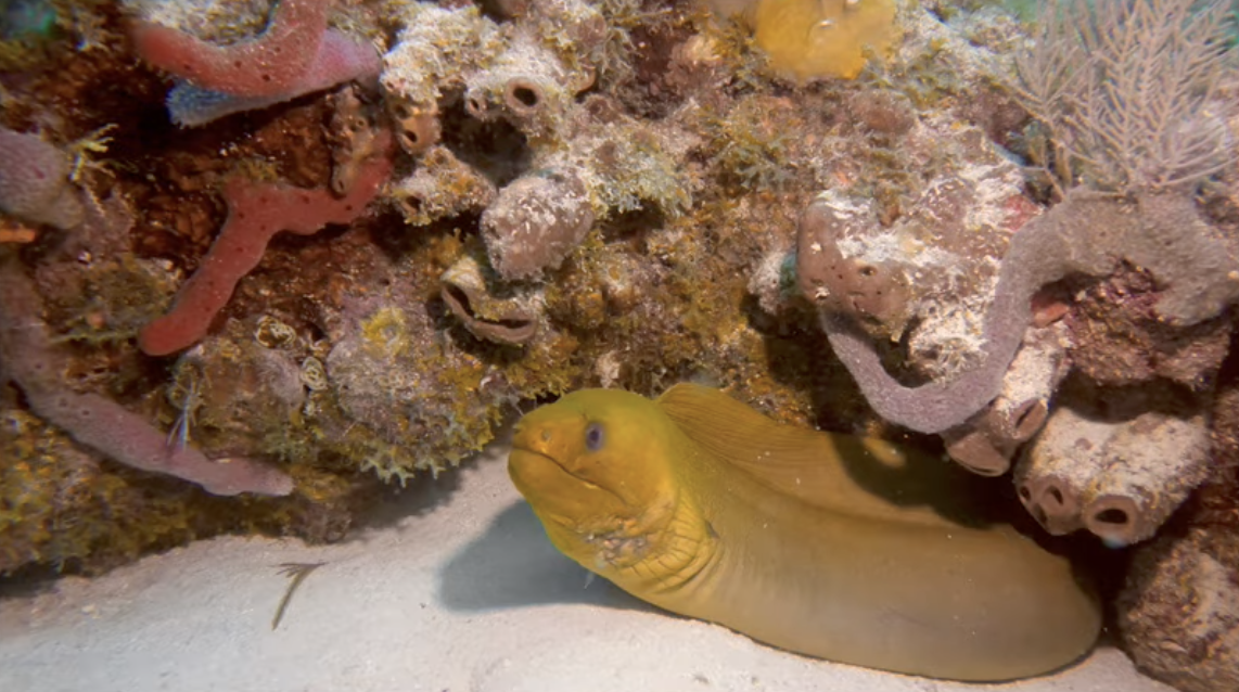 f:id:sulgi0917:20210418111006p:plain