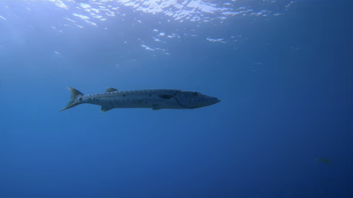 f:id:sulgi0917:20210418111057p:plain