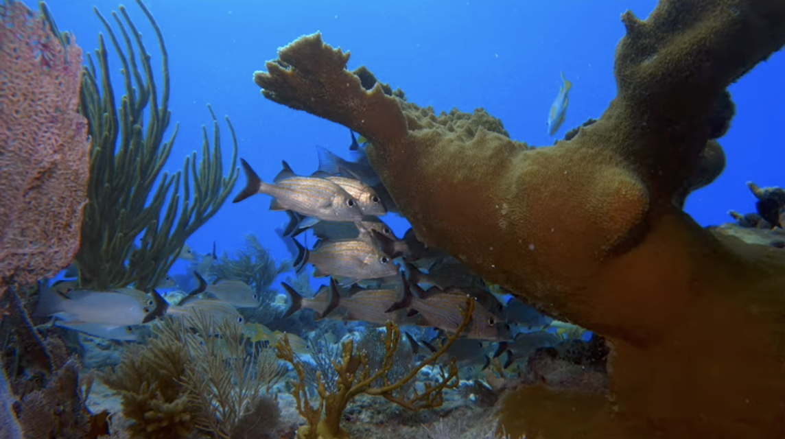 f:id:sulgi0917:20210418111149p:plain