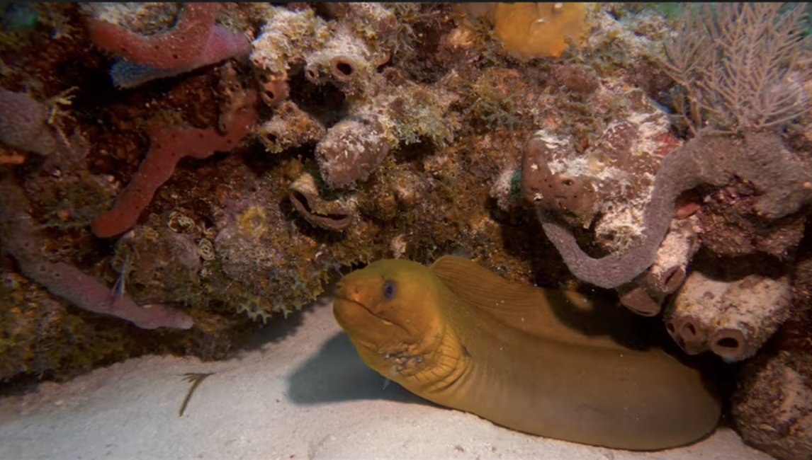 f:id:sulgi0917:20210418111209p:plain