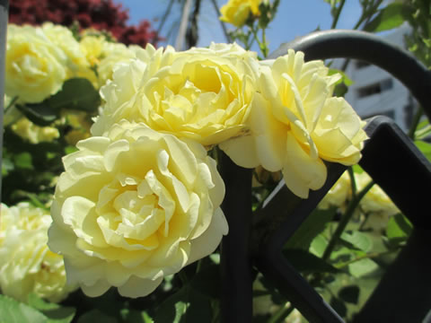 f:id:sumai01:20140925152203j:plain