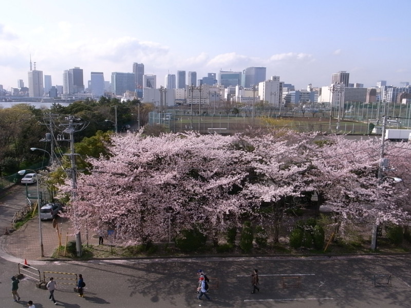 f:id:sumao:20100413120357j:image