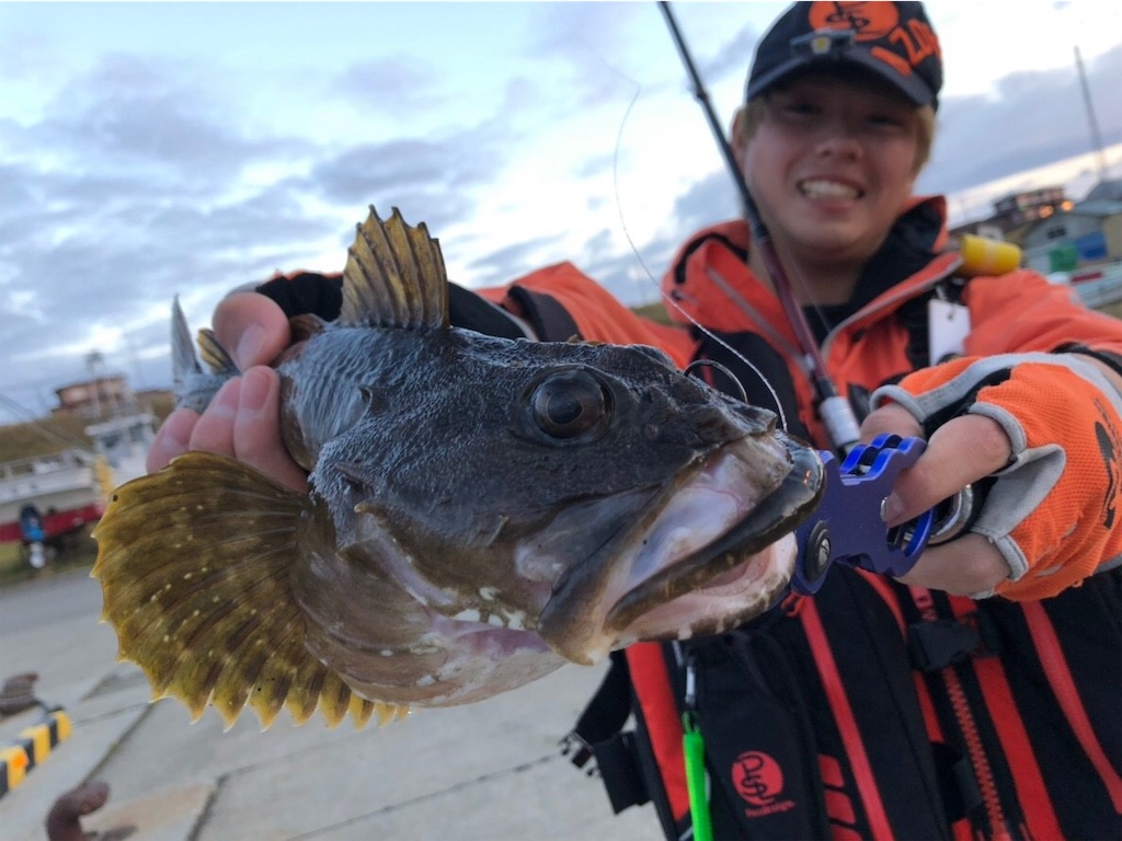根室 ネムロック ウサギアイナメへの道のり Sumatora Fish548 S Diary 根室 ネムロック ウサギアイナメへの道のり Sumatora Fish548 S Diary