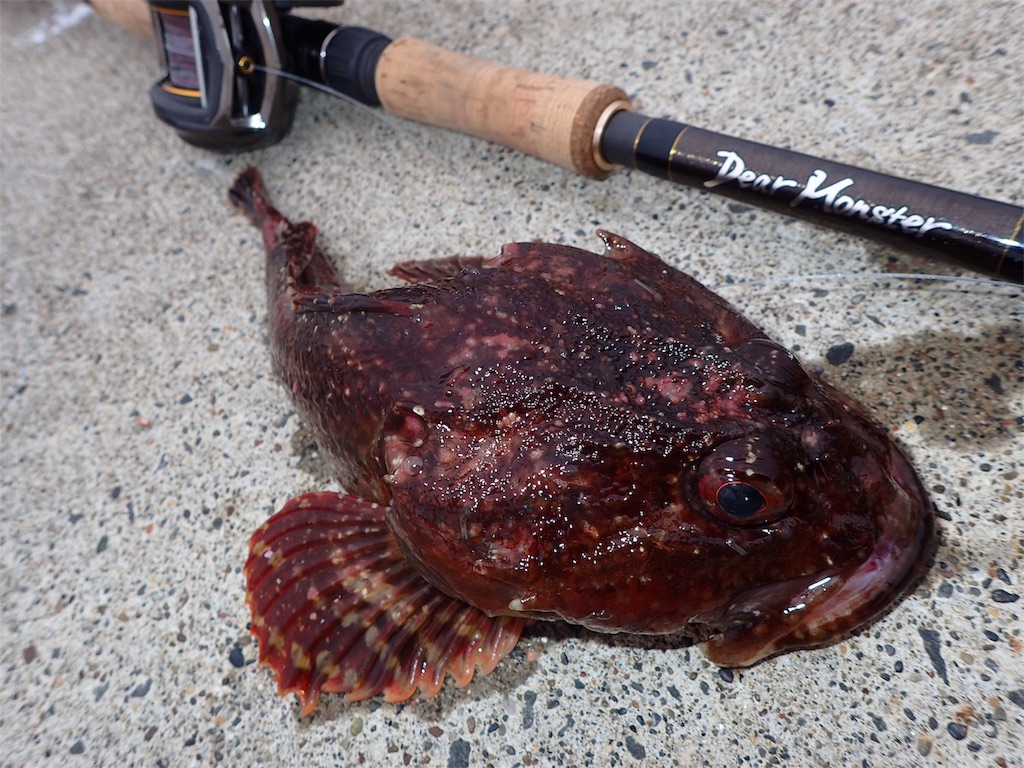 根室 ネムロック ウサギアイナメへの道のり Sumatora Fish548 S Diary 根室 ネムロック ウサギアイナメへの道のり Sumatora Fish548 S Diary