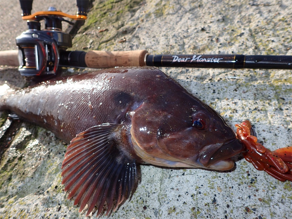 根室 ネムロック ウサギアイナメへの道のり Sumatora Fish548 S Diary 根室 ネムロック ウサギアイナメへの道のり Sumatora Fish548 S Diary