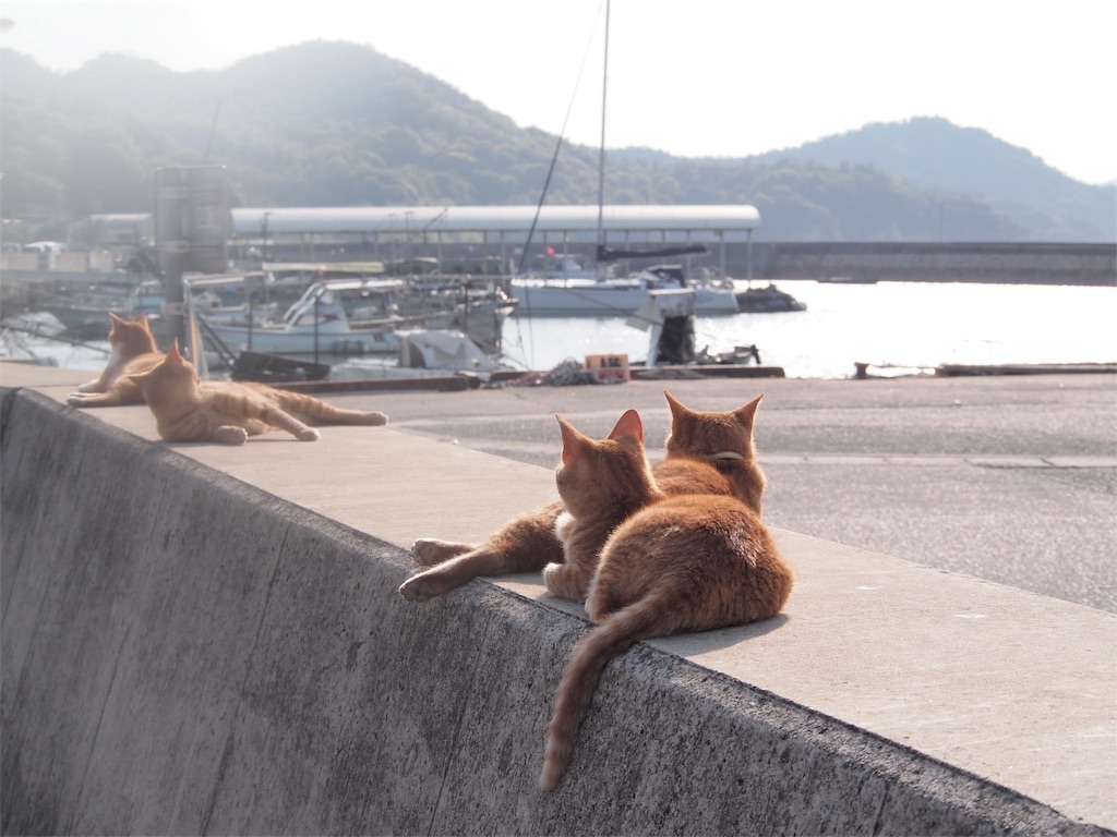 f:id:sumeshi580:20170503141100j:image f:id:sumeshi580:20170503141100j:image