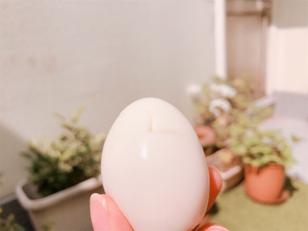 f:id:sumeshi580:20181229112121j:image