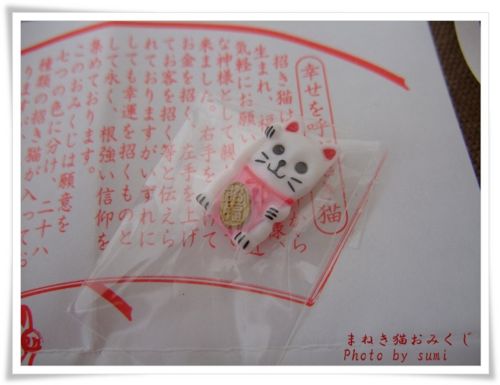f:id:sumi0627:20090624165459j:image