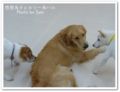 2011.8.2ハルくんと２