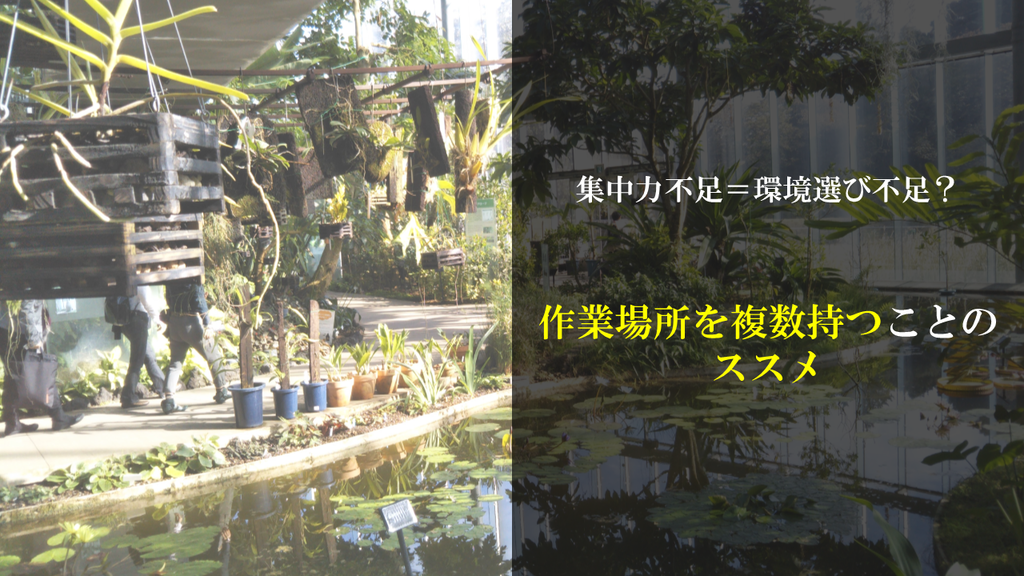f:id:sumichan11:20181124001848p:plain f:id:sumichan11:20181124001848p:plain