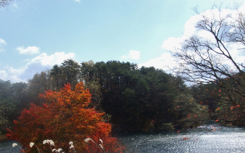 f:id:sumichan62:20141029105208j:image:w190:left f:id:sumichan62:20141029105208j:image:w190:left