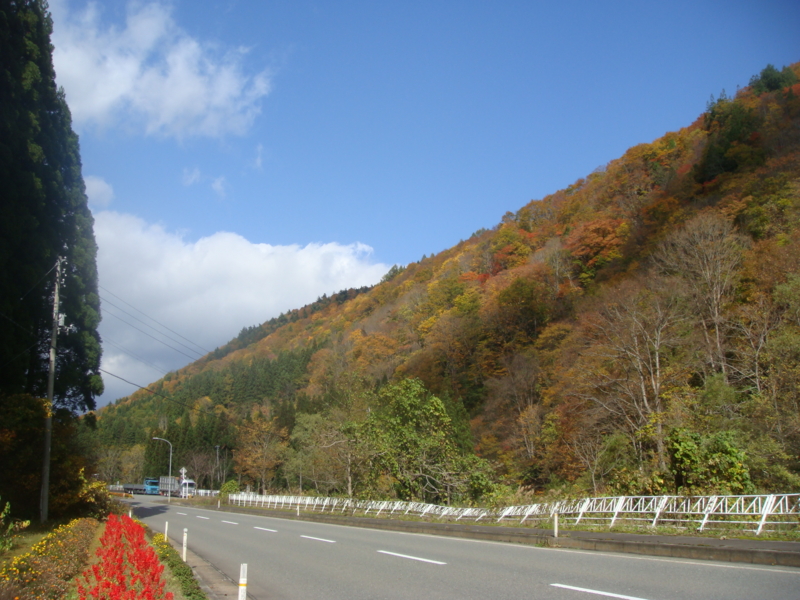 f:id:sumichan62:20141029121837j:image:w230:right