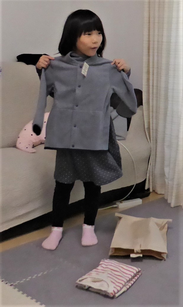 f:id:sumichan62:20181123134257j:plain f:id:sumichan62:20181123134257j:plain
