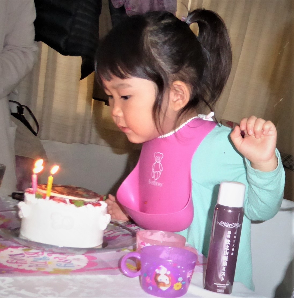 f:id:sumichan62:20181123141105j:plain f:id:sumichan62:20181123141105j:plain