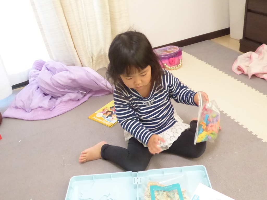 f:id:sumichan62:20181125110639j:plain f:id:sumichan62:20181125110639j:plain