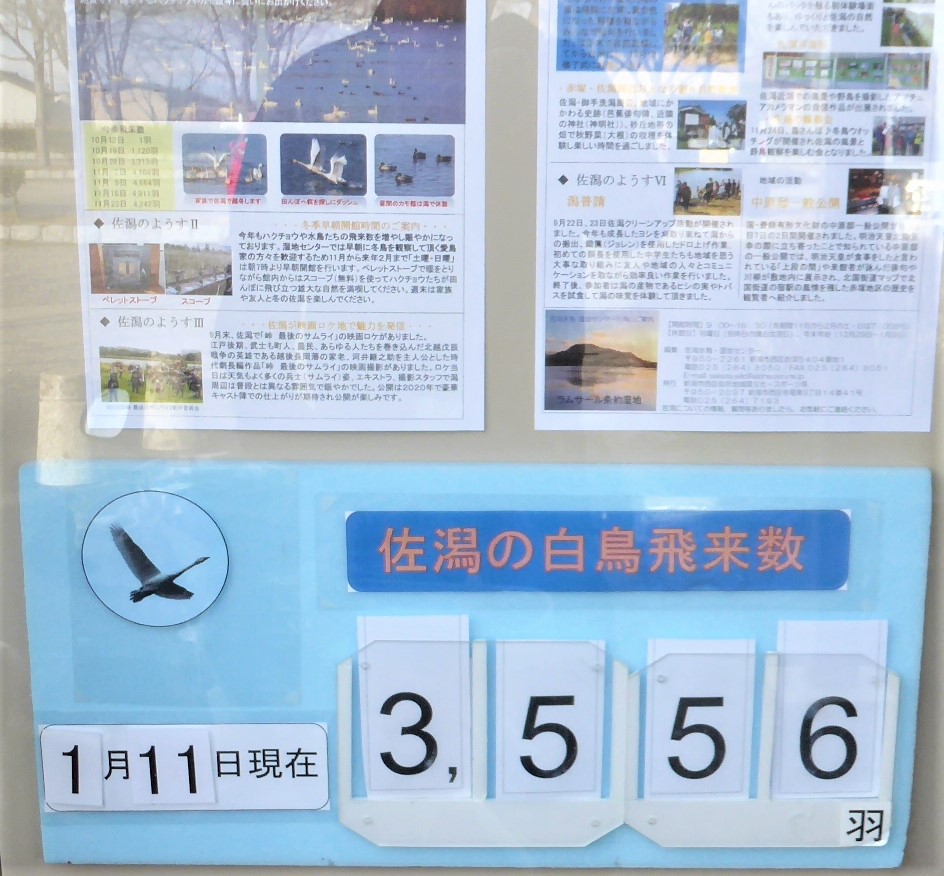 f:id:sumichan62:20190112143709j:plain f:id:sumichan62:20190112143709j:plain
