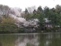 三宝寺池