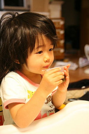 f:id:sumicom:20071006183921j:image:h240