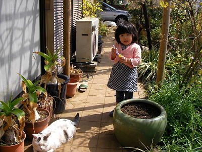 f:id:sumicom:20080329101719j:image:w240