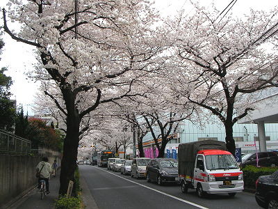 f:id:sumicom:20080329160611j:image:w240