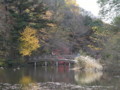 石神井公園三宝寺池