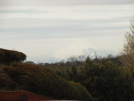 とある日の富士山