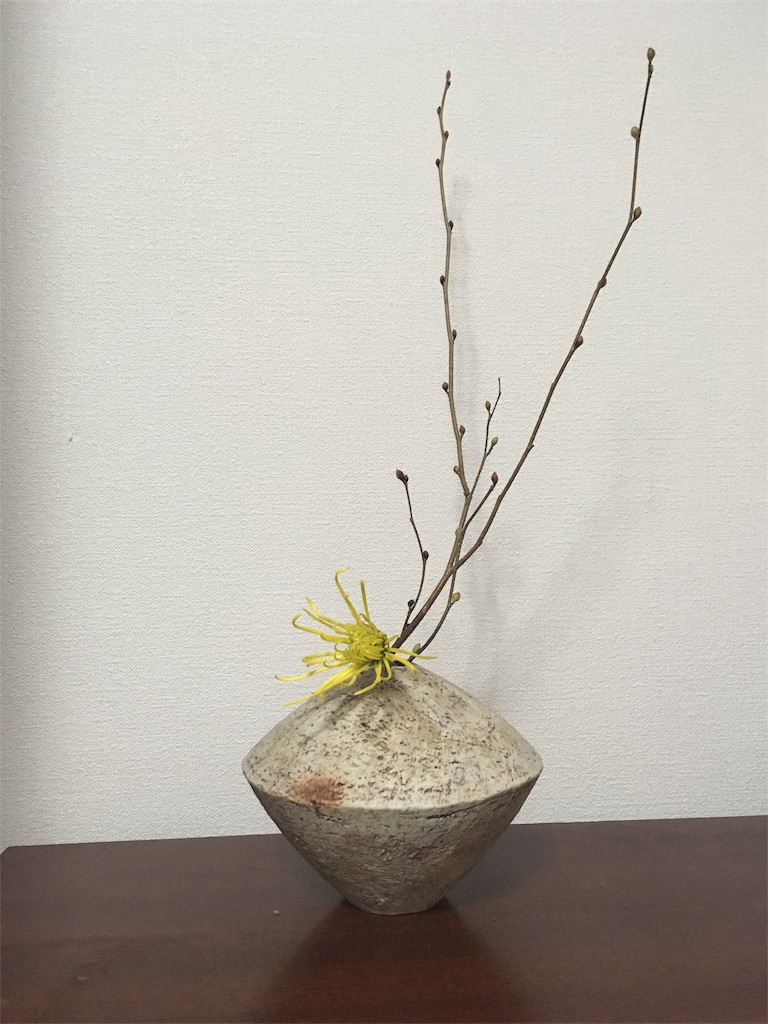 f:id:sumika_morita:20161228220613j:image f:id:sumika_morita:20161228220613j:image