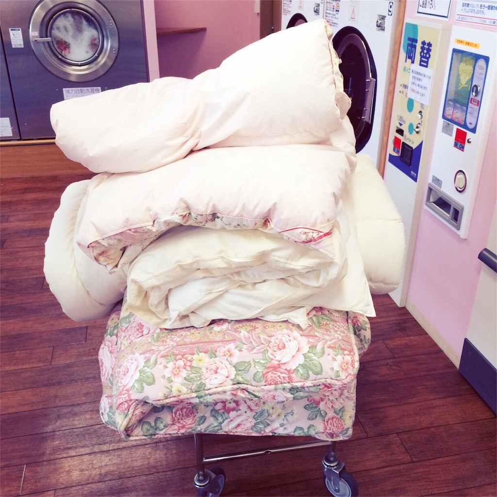 f:id:sumikachang:20151229160529j:image f:id:sumikachang:20151229160529j:image