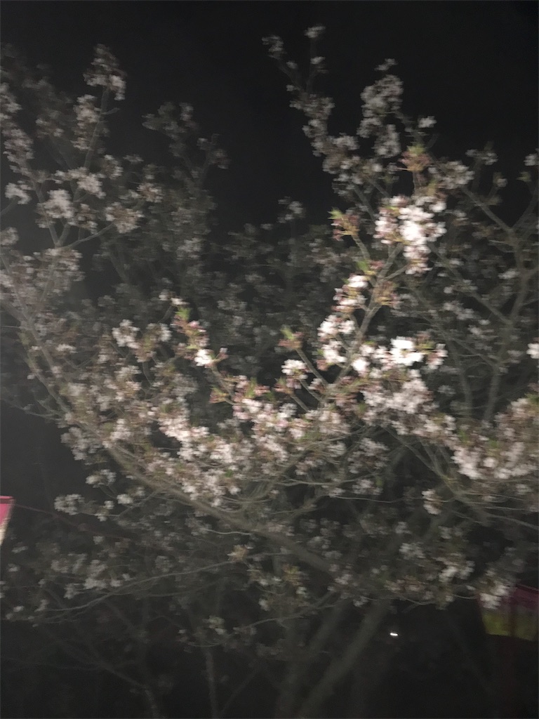 f:id:sumiken19781215:20180401222026j:image f:id:sumiken19781215:20180401222026j:image