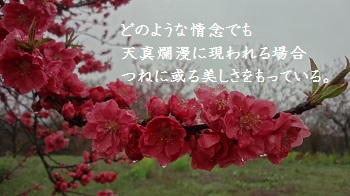 f:id:sumikichi52:20170414091511j:plain f:id:sumikichi52:20170414091511j:plain
