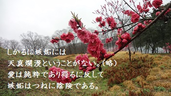 f:id:sumikichi52:20170414091512j:plain f:id:sumikichi52:20170414091512j:plain