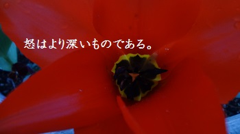 f:id:sumikichi52:20170414091515j:plain f:id:sumikichi52:20170414091515j:plain