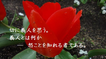 f:id:sumikichi52:20170414091516j:plain f:id:sumikichi52:20170414091516j:plain
