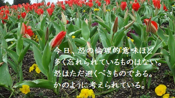 f:id:sumikichi52:20170414091517j:plain f:id:sumikichi52:20170414091517j:plain