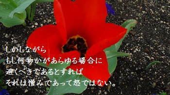 f:id:sumikichi52:20170414091518j:plain f:id:sumikichi52:20170414091518j:plain