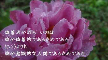 f:id:sumikichi52:20170414091519j:plain f:id:sumikichi52:20170414091519j:plain