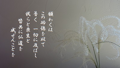 実践！“一日一禅” - 今日も、生涯の一日なり