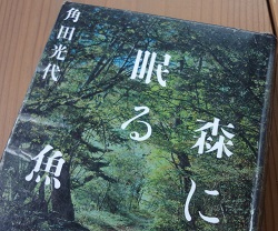 f:id:sumikichi52:20180220102829j:plain