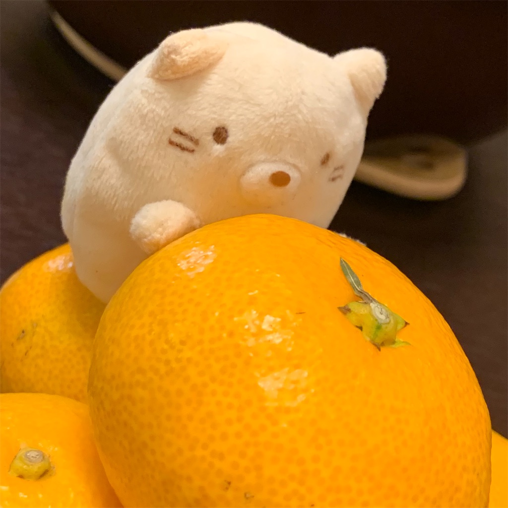 f:id:sumikko335biyoriiro:20211025201649j:image f:id:sumikko335biyoriiro:20211025201649j:image