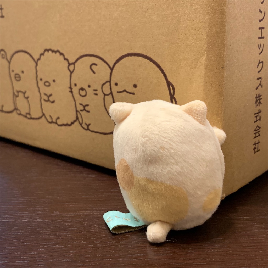 f:id:sumikko335biyoriiro:20211102213918j:image