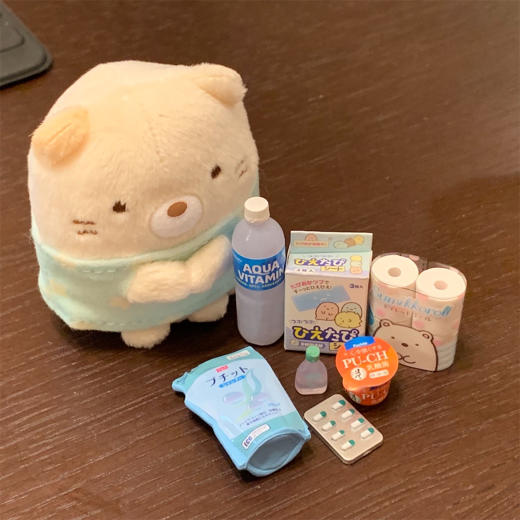 f:id:sumikko335biyoriiro:20211227213954j:image