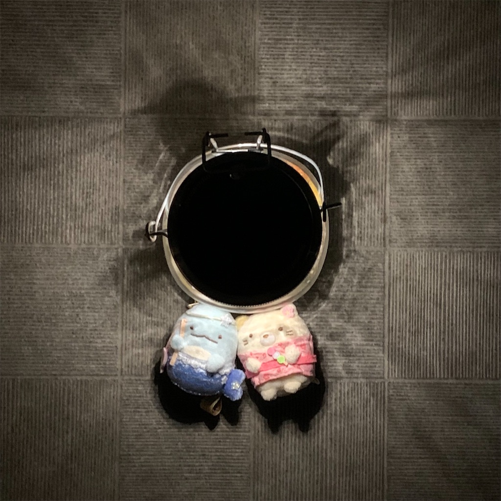 f:id:sumikko335biyoriiro:20220401224500j:image