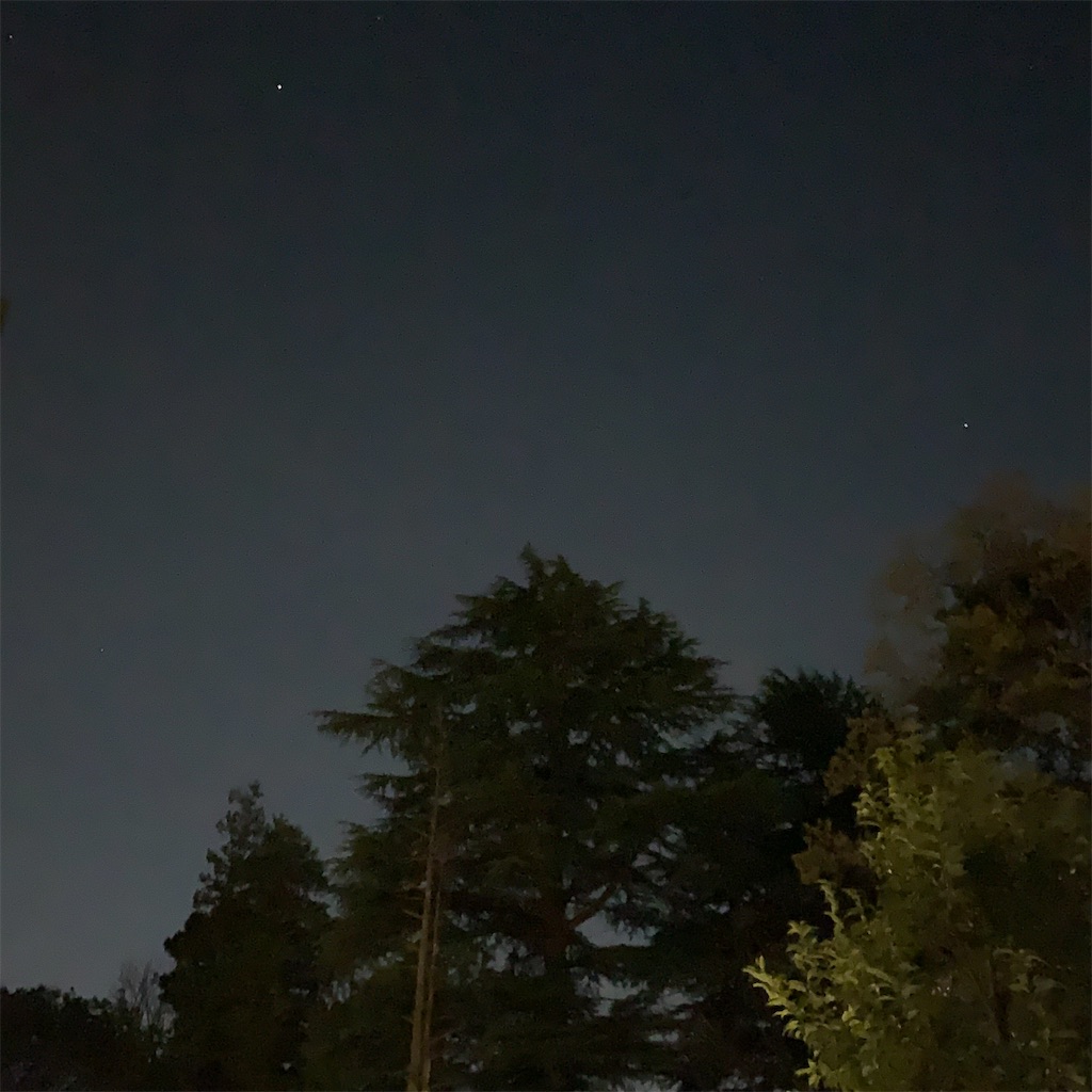 f:id:sumikko335biyoriiro:20220401224504j:image