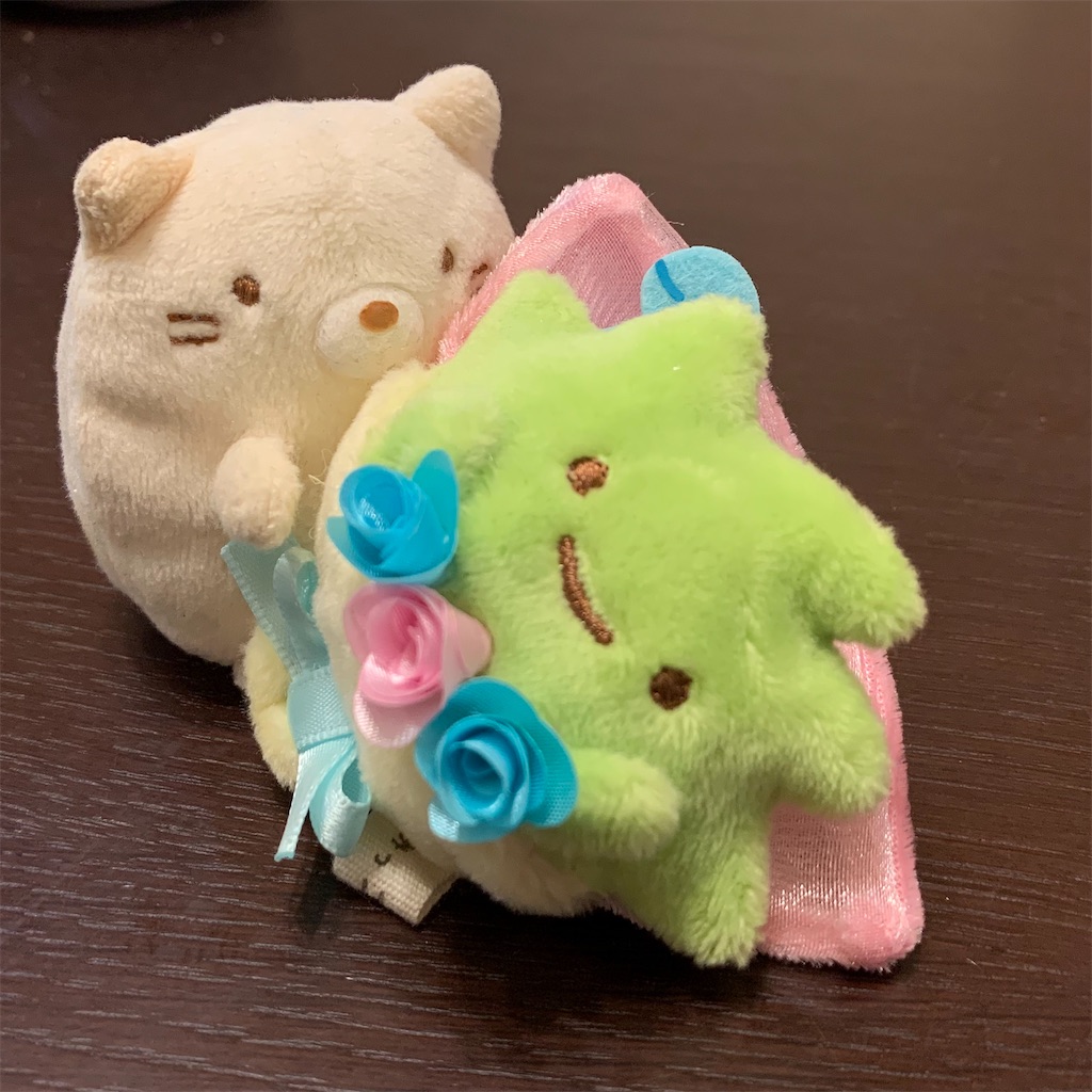 f:id:sumikko335biyoriiro:20230215030445j:image