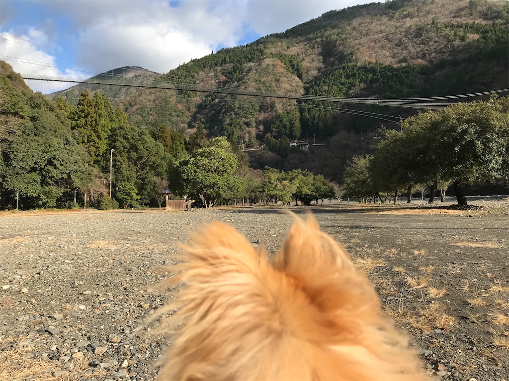 f:id:sumikkocamper:20211003225146j:image