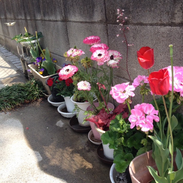 f:id:sumiko325turedure:20190427022204j:plain